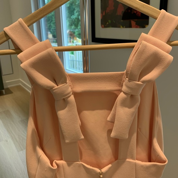 Club Monaco Peach Fuzz Mini dress with bow details - Picture 11 of 14